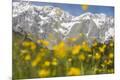 Photographic Print