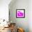 Niki Pink-NaxArt-Framed Art Print displayed on a wall