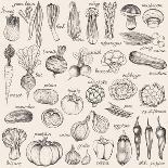 Hand-Drawn Vegetables-Nikiparonak-Stretched Canvas