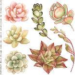 Watercolor Colorful Succulent Echeveria, Hand-Drawn Illustration in Vintage Style.-Nikiparonak-Art Print