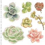 Wreath of Succulents and Kalanchoe, Vector Watercolor Illustration.-Nikiparonak-Stretched Canvas