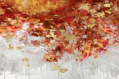 Cascading Fall II-Nikki Robbins-Stretched Canvas