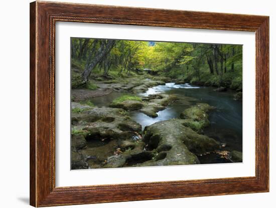 Nikko 1-Michael De Guzman-Framed Photographic Print