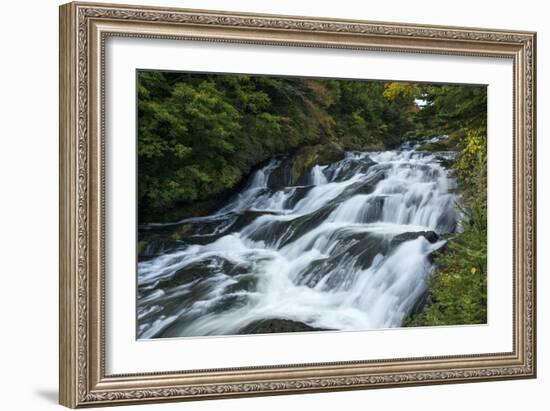 Nikko 4-Michael De Guzman-Framed Photographic Print