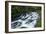 Nikko 4-Michael De Guzman-Framed Photographic Print