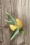 Clementine with Leaves on Wood-Nikky-Photographic Print