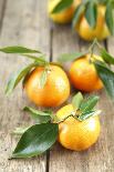 Clementines with Leaves on Wood-Nikky-Photographic Print