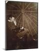 Nikola Tesla (1856-1943)-null-Mounted Photographic Print