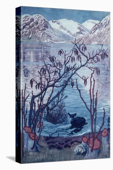 Stretched Canvas Print, , large