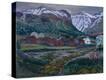 Stretched Canvas Print