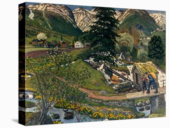 Stretched Canvas Print, , large