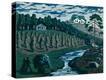 Stretched Canvas Print