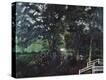 Stretched Canvas Print