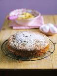 Lemon Cake with Meringue Topping-Nikolai Buroh-Photographic Print