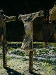 The Crucifixion, or Golgotha, 1893-Nikolai Nikolaevich. Ge-Giclee Print