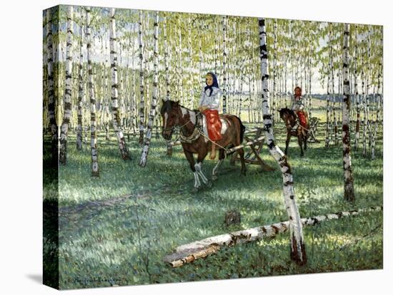 Stretched Canvas Print, , large