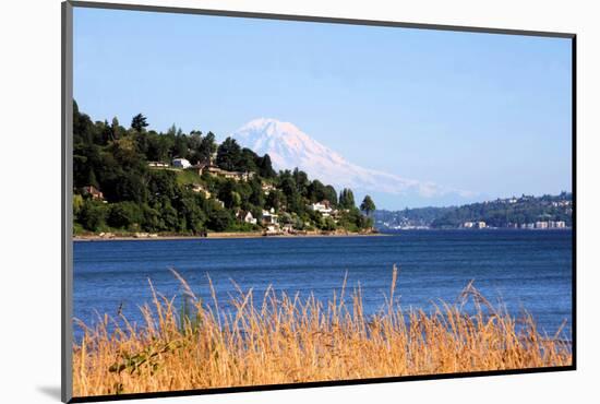 Photographic Print, , large