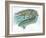 Nile Crocodile Crocodylus Niloticus Catching Fish-null-Framed Giclee Print