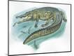 Giclee Print