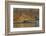 Nile crocodile (Crocodylus niloticus), Zimanga private game reserve, KwaZulu-Natal, South Africa, A-Ann and Steve Toon-Framed Photographic Print