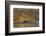 Nile crocodile (Crocodylus niloticus), Zimanga private game reserve, KwaZulu-Natal, South Africa, A-Ann and Steve Toon-Framed Photographic Print