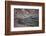 Nile Crocodile, Ranthambhore National Park, Rajasthan, India, Asia-Janette Hill-Framed Photographic Print