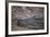 Nile Crocodile, Ranthambhore National Park, Rajasthan, India, Asia-Janette Hill-Framed Photographic Print