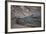 Nile Crocodile, Ranthambhore National Park, Rajasthan, India, Asia-Janette Hill-Framed Photographic Print