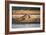 Nile Crocodile-Howard Ruby-Framed Photographic Print