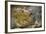 Nile Crocodile-Jon Hicks-Framed Photographic Print