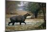 Nilgai - Blue Bull (Boselaphus Tragocamelus) Wading Through Lake, Keoladeo Ghana Np, Bharatpur-Pete Oxford-Mounted Photographic Print