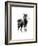 Nilgiri-Kristine Hegre-Framed Giclee Print