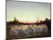 Giclee Print
