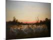 Premium Giclee Print