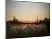 Premium Giclee Print