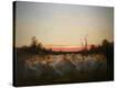 Stretched Canvas Print
