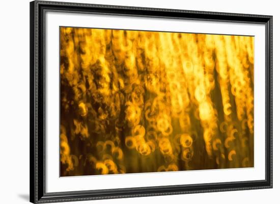 Nimbus-Mike Toy-Framed Giclee Print