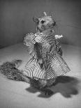 Squirrel Wearing a Baby Doll's Dress-Nina Leen-Photographic Print