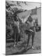 Photographic Print