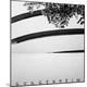 Premium Photographic Print