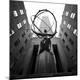 Premium Photographic Print