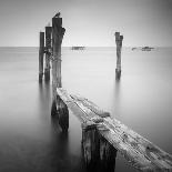 Wharf de la Salie-Nina Papiorek-Photographic Print