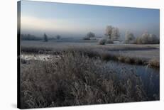 Tuscany-Nina Pauli-Photographic Print