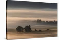 Dense Fog Over The Moos-Nina Pauli-Stretched Canvas