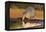 Nine-banded Armadillo (Dasypus novemcinctus) drinking-Larry Ditto-Framed Premier Image Canvas
