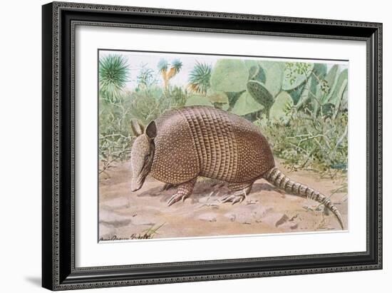 Nine Banded Armadillo, Named for the Overlapping Plates at Midriff-Louis Agassiz Fuertes-Framed Giclee Print