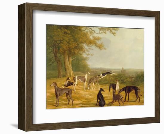 Nine Greyhounds in a Landscape-Jacques-Laurent Agasse-Framed Giclee Print