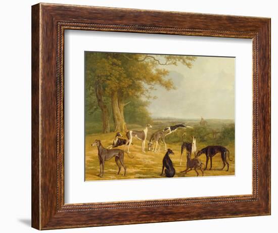 Nine Greyhounds in a Landscape-Jacques-Laurent Agasse-Framed Giclee Print