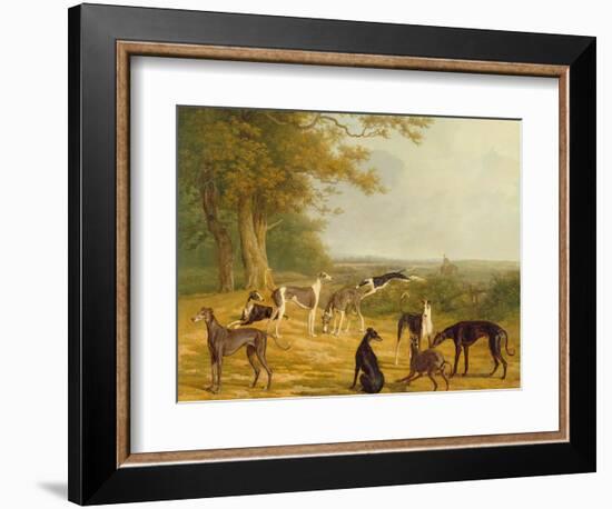 Nine Greyhounds in a Landscape-Jacques-Laurent Agasse-Framed Giclee Print