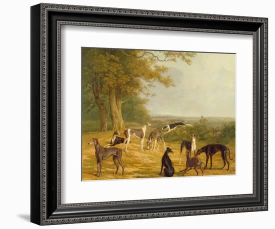 Nine Greyhounds in a Landscape-Jacques-Laurent Agasse-Framed Giclee Print